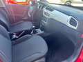 Citroen C3 PureTech 68 Live Edition unico prop. Rosso - thumbnail 12