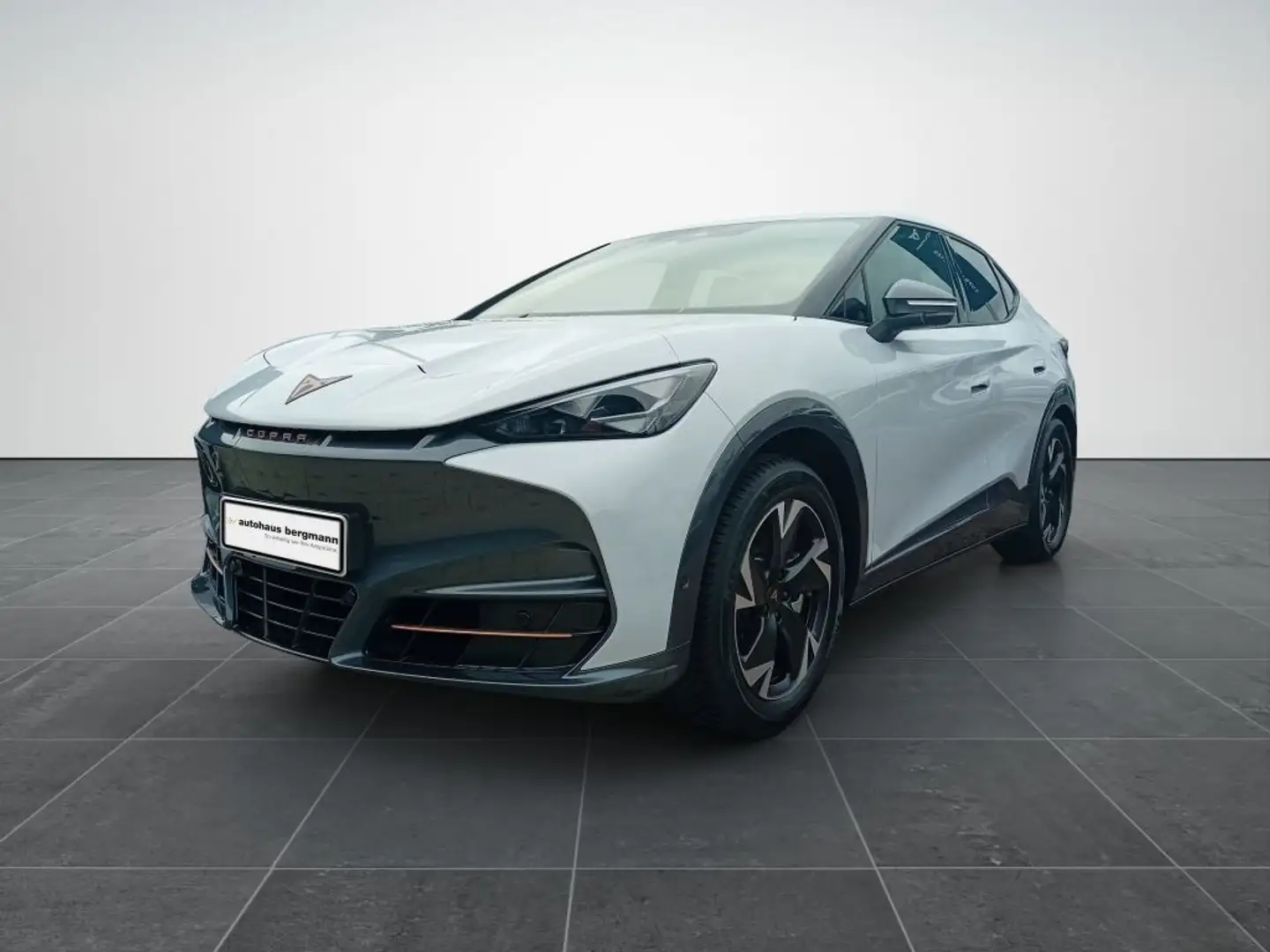 CUPRA Tavascan 210 kW/77kWh HA Endurance - 1