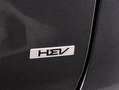 Kia Niro 1.6 GDI 129CV HEV Concept 6DCT Gris - thumbnail 22