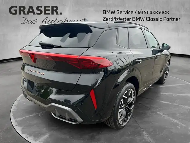 Cupra Terramar view 6