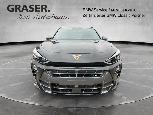 Cupra Terramar view 9
