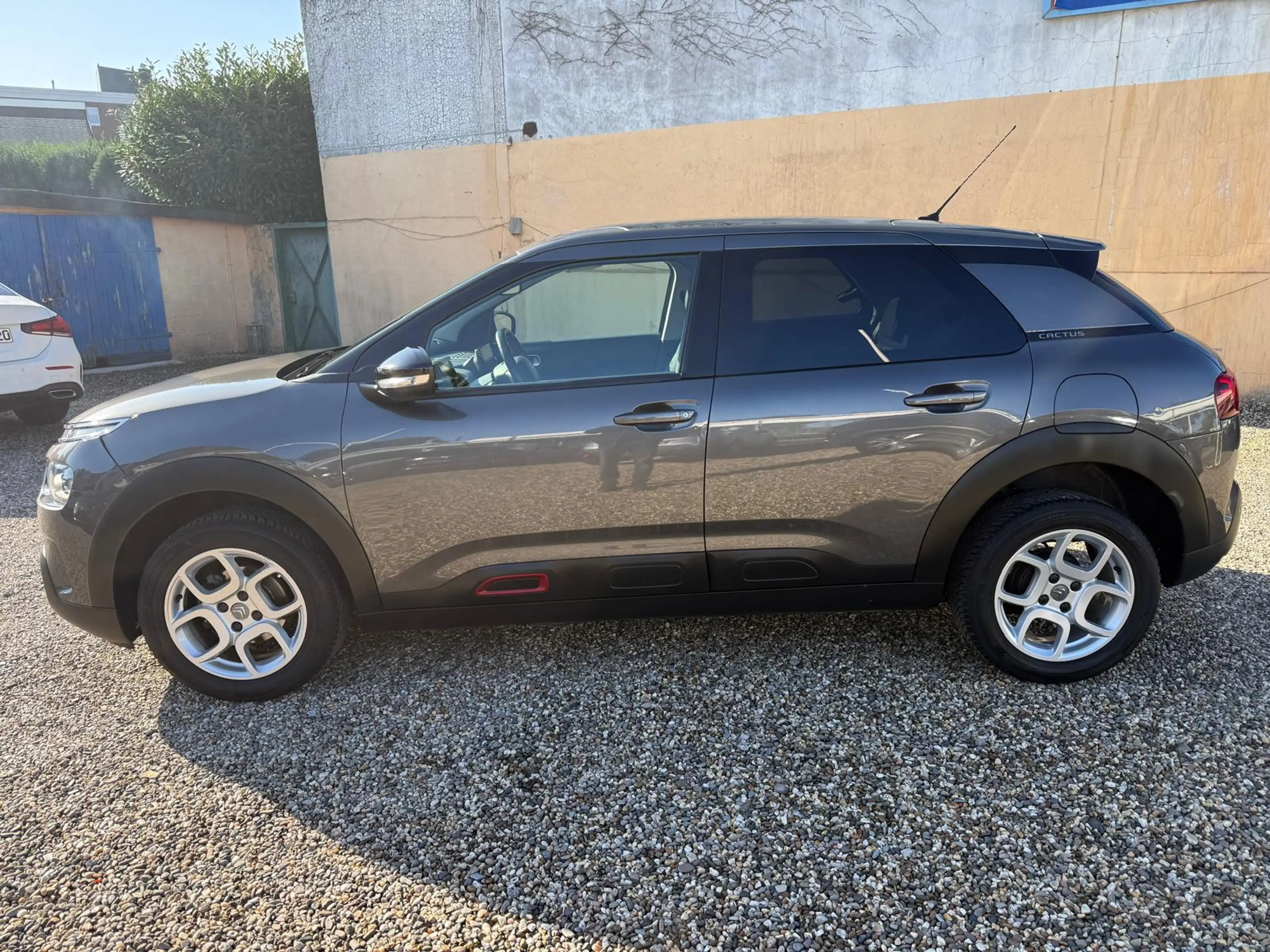 Citroen C4 Cactus Shine — photo 6