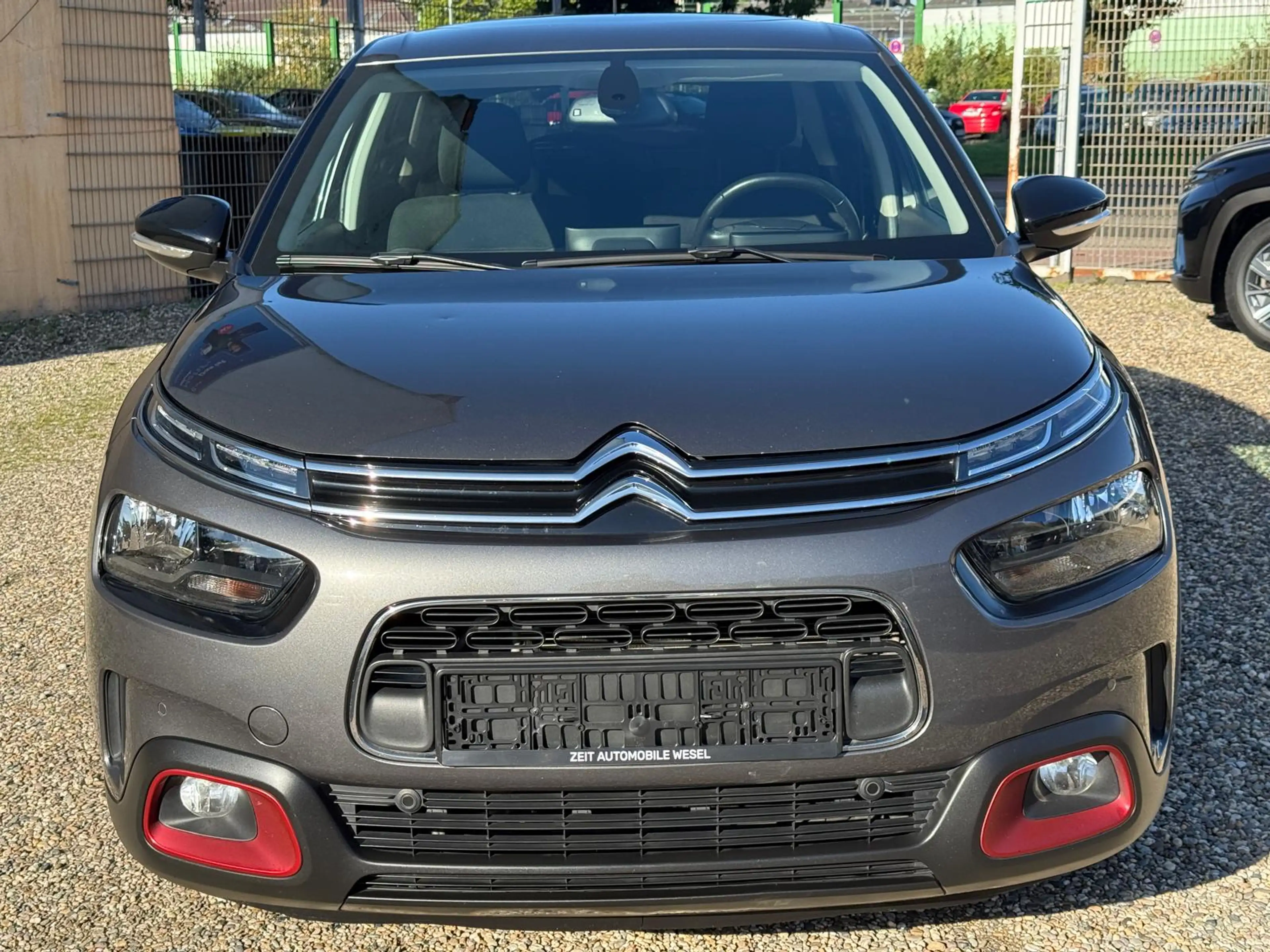 Citroen C4 Cactus Shine — photo 7