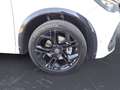 Volkswagen Tiguan 2.0 TDI DSG 4Motion R-Line AHK Pano Leder Weiß - thumbnail 12