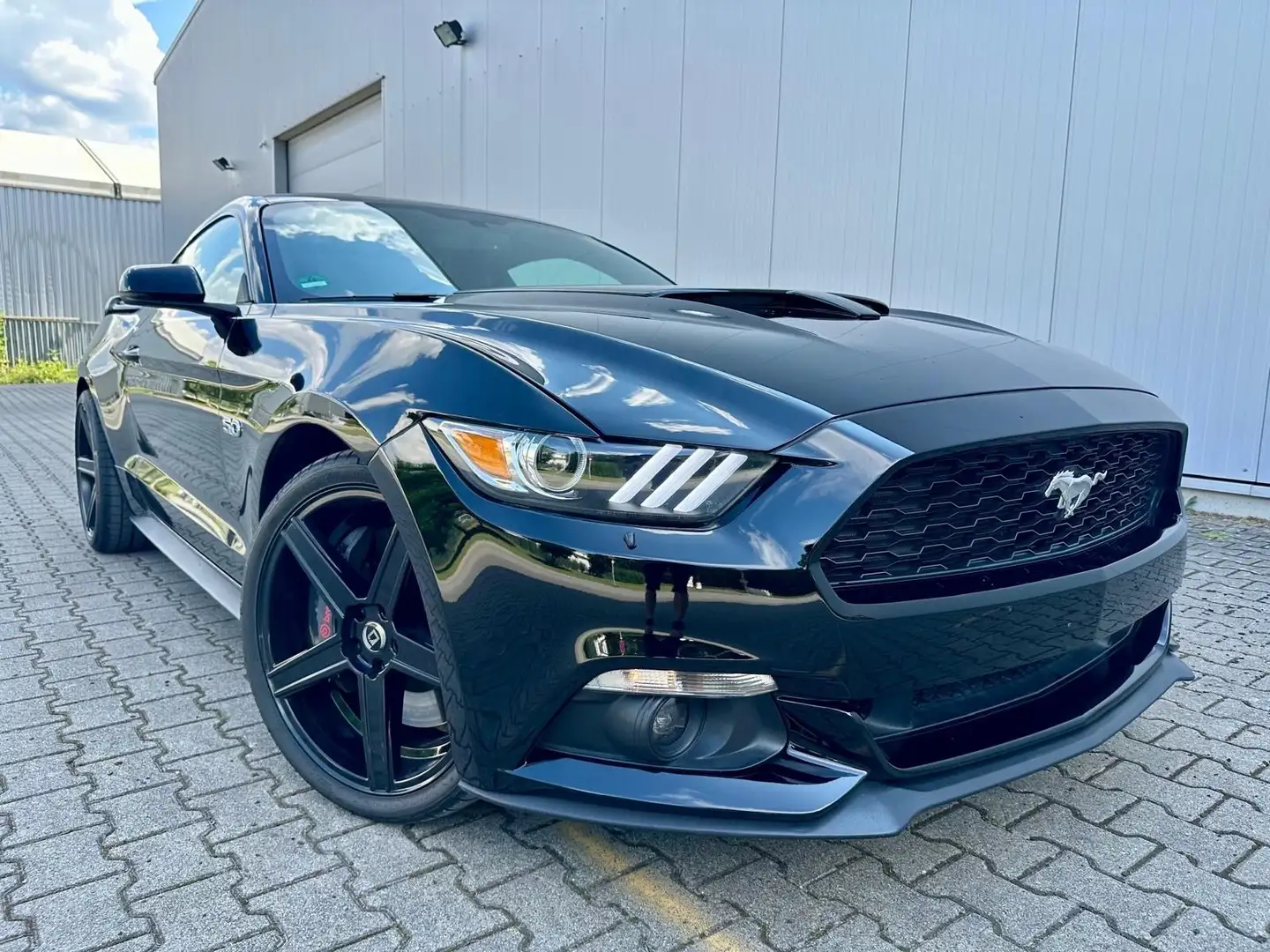 Ford Mustang 5.0 V8 GT Performance Brembo Navi Schalt Schwarz - 1