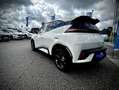 BYD Dolphin Surf Comfort 43kWh 156PS LEASING AKTION - in Vorbest... Weiß - thumbnail 5