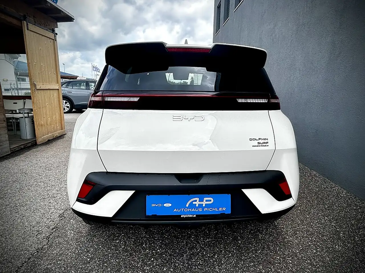BYD DOLPHIN SURF