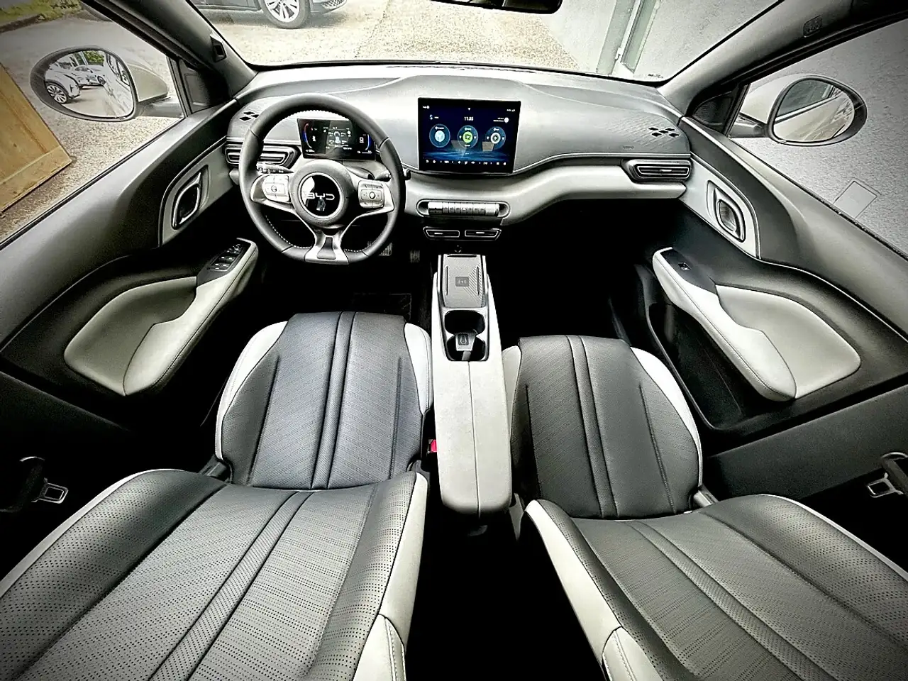 BYD DOLPHIN SURF