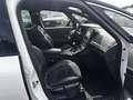 Renault Grand Scenic TCe 140 Black Edition PD/RFK/ACC Weiß - thumbnail 10