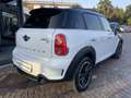 MINI Cooper SD Countryman Mini Countryman R60 2.0 E6 Bianco - thumbnail 14