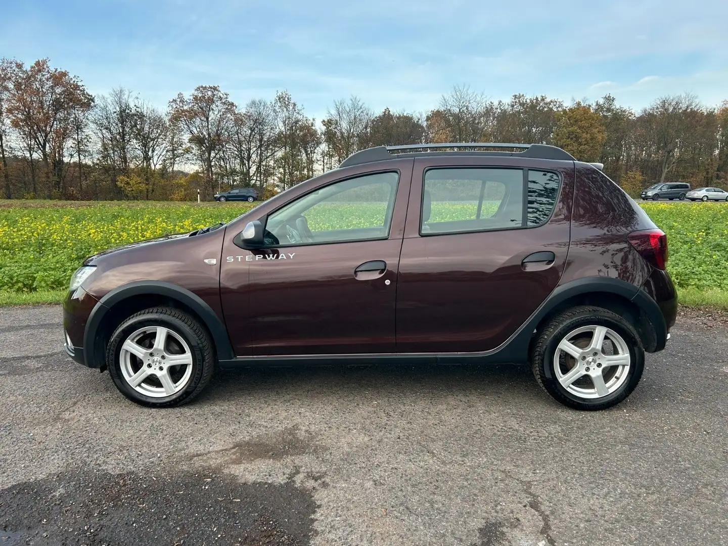 Dacia Sandero Stepway TCe 90 Navi PDC AHK Braun - 2