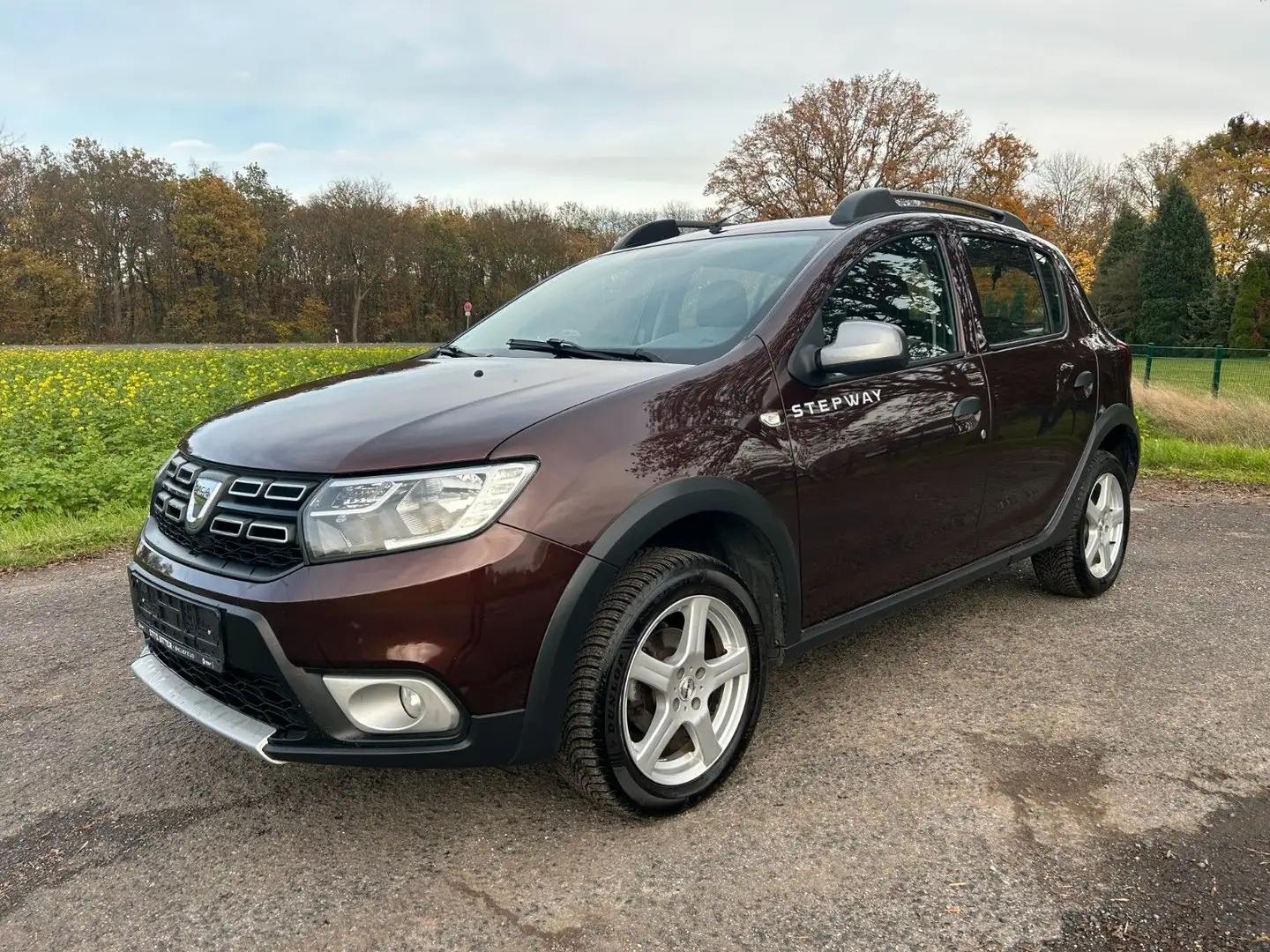 Dacia Sandero Stepway TCe 90 Navi PDC AHK Braun - 1