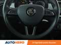 Skoda Fabia 1.0 TSI Ambition*PDC*SHZ*KLIMA*LIMITER* Blau - thumbnail 19