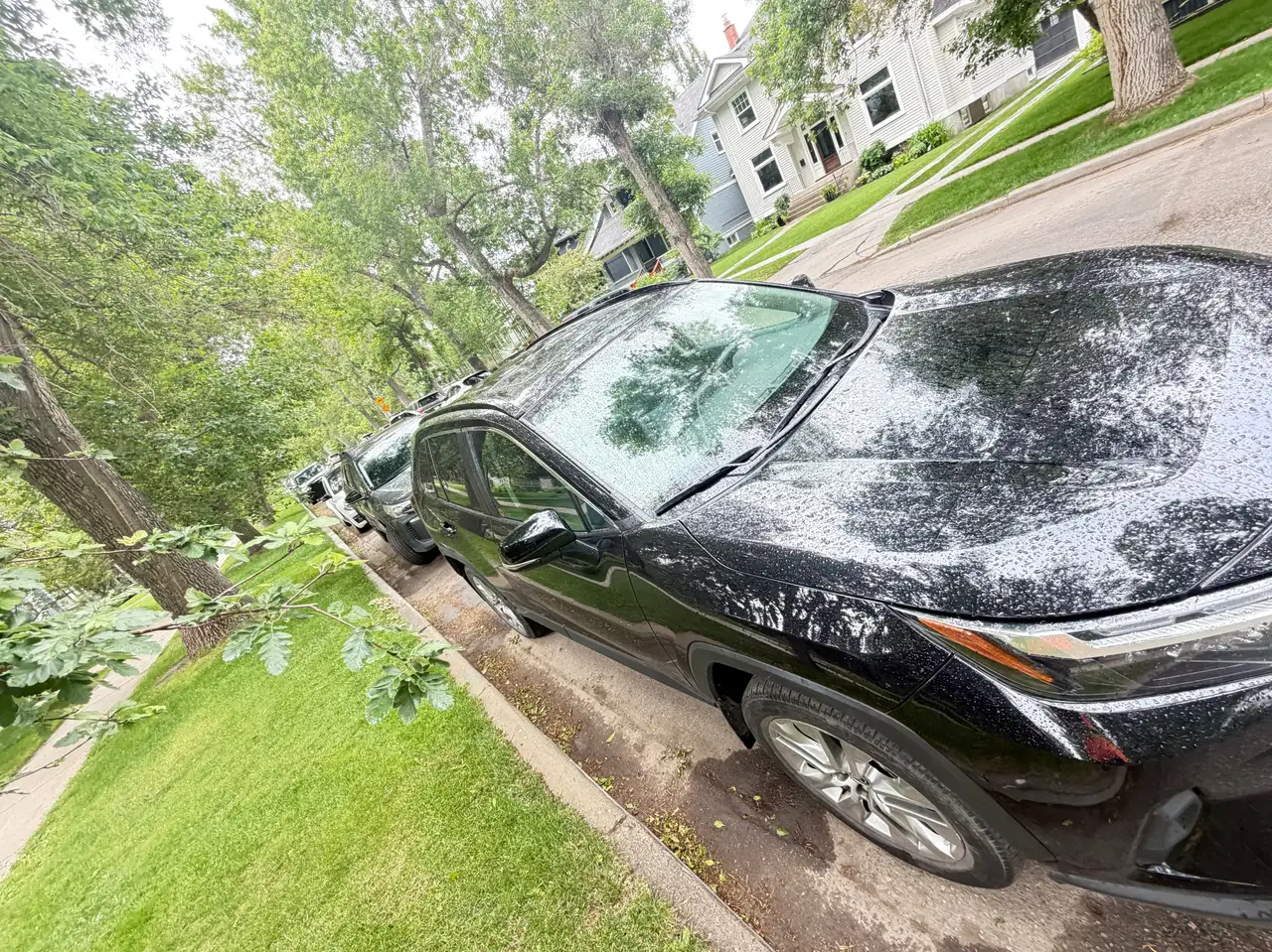 2025 Toyota RAV 4