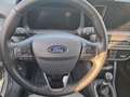 Ford Tourneo Courier Tourneo Courier 1.0 EcoBoost Titanium Blu/Azzurro - thumbnail 7
