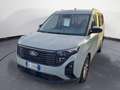 Ford Tourneo Courier Tourneo Courier 1.0 EcoBoost Titanium Blu/Azzurro - thumbnail 3