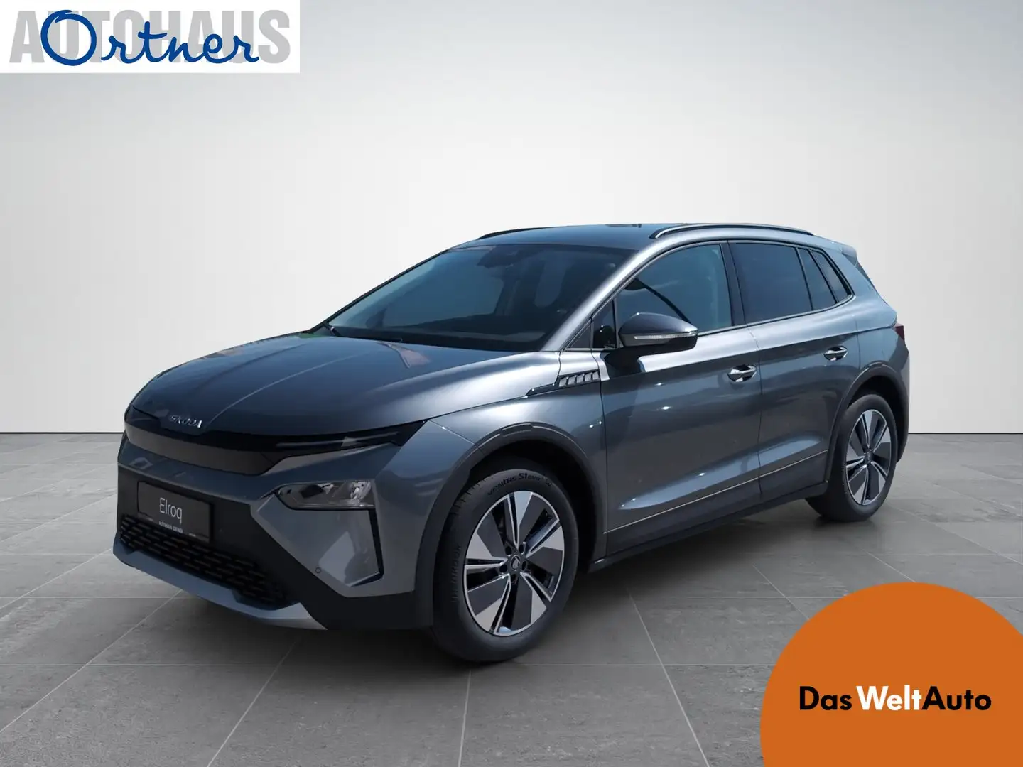Skoda Elroq 50 Grau - 1