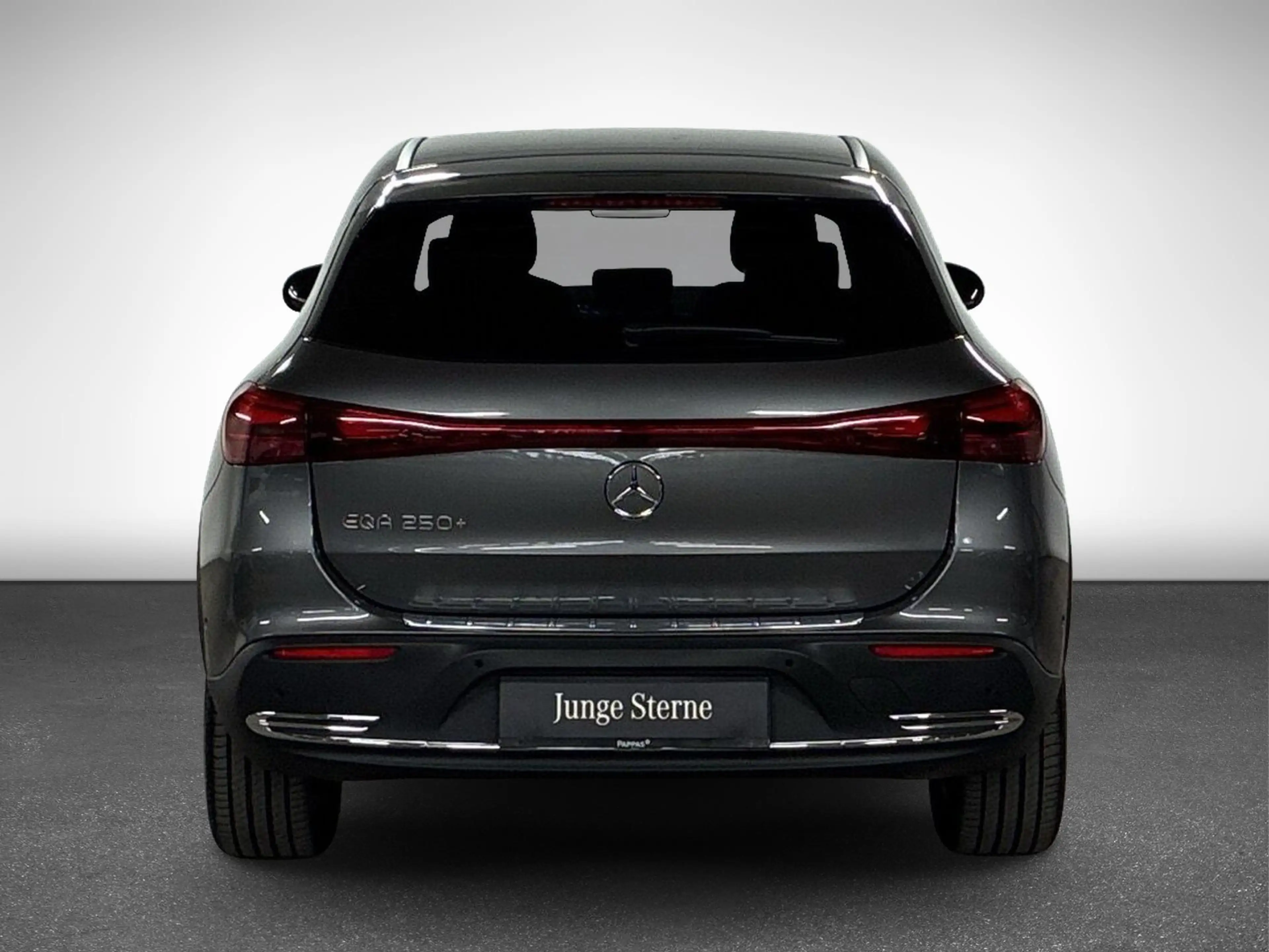 Mercedes-Benz EQA 250 + Österreich-Edition *Progressive — photo 5