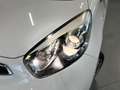 Kia Picanto 1.0 CVVT BusinessLine I NAVIGATIE I BLUETOOTH I US Bianco - thumbnail 6