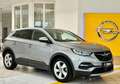 Opel Grandland X Inno/AHZV/Navi/Kam/Sitzh/Lenkhzg/LED/elektrHeckkl. Grau - thumbnail 1