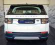 Land Rover Discovery Sport 2.0d i4 mhev S awd 150cv PELLE! RETRO! APPLE! Bianco - thumbnail 6