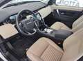 Land Rover Discovery Sport 2.0d i4 mhev S awd 150cv PELLE! RETRO! APPLE! Bianco - thumbnail 11