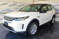 Land Rover Discovery Sport 2.0d i4 mhev S awd 150cv PELLE! RETRO! APPLE! Bianco - thumbnail 1