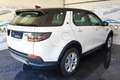 Land Rover Discovery Sport 2.0d i4 mhev S awd 150cv PELLE! RETRO! APPLE! Bianco - thumbnail 5