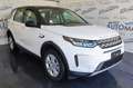 Land Rover Discovery Sport 2.0d i4 mhev S awd 150cv PELLE! RETRO! APPLE! Bianco - thumbnail 4