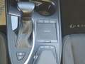 Lexus UX 250h Premium 2WD Grau - thumbnail 20