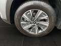 Hyundai TUCSON NX4 Smart Line 1,6 T-GDi 2WD t1bs0 Silber - thumbnail 19