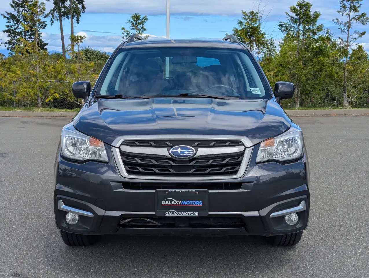 Subaru Forester fotografie Subaru Forester