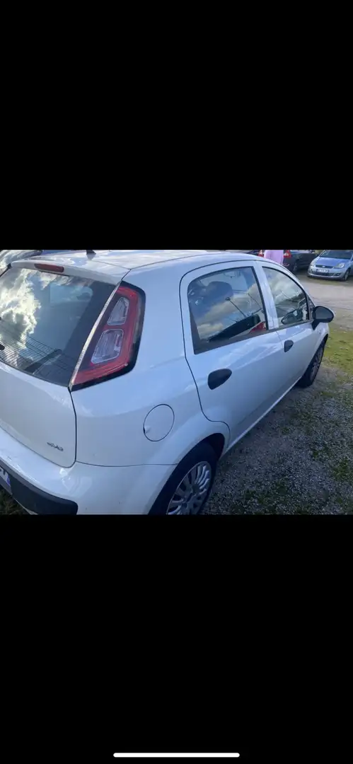 Fiat Punto Evo 1.3 Multijet 16V 95 S&S DPF Dynamic - 2