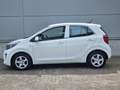 Kia Picanto 1.0 DPi ComfortLine 5p Blanc - thumbnail 27