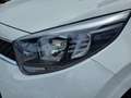 Kia Picanto 1.0 DPi ComfortLine 5p Blanc - thumbnail 33