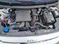 Kia Picanto 1.0 DPi ComfortLine 5p Blanc - thumbnail 24