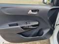 Kia Picanto 1.0 DPi ComfortLine 5p Blanc - thumbnail 15
