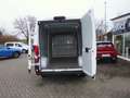 Fiat Ducato L3H2 Paket Techno/Allwetterreifen netto 22.680,00 Weiß - thumbnail 13