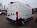 Fiat Ducato L3H2 Paket Techno/Allwetterreifen netto 22.680,00 Weiß - thumbnail 6