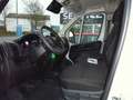Fiat Ducato L3H2 Paket Techno/Allwetterreifen netto 22.680,00 Weiß - thumbnail 17