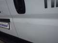 Fiat Ducato L3H2 Paket Techno/Allwetterreifen netto 22.680,00 Weiß - thumbnail 10