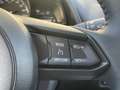 Mazda 2 1.5 e-SkyActiv-G 90 Homura | 16-inch | Armsteun | Noir - thumbnail 17