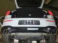 Volkswagen Golf VIII GTI 2.0 TSI OPF DSG7 Navi DCC ACC LM19 Blanco - thumbnail 16