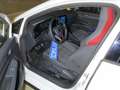 Volkswagen Golf VIII GTI 2.0 TSI OPF DSG7 Navi DCC ACC LM19 Blanco - thumbnail 6