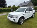 Land Rover Freelander Freelander 2.2 Sd4 HSE Alb - thumbnail 12