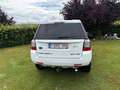 Land Rover Freelander Freelander 2.2 Sd4 HSE Alb - thumbnail 3