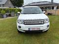 Land Rover Freelander Freelander 2.2 Sd4 HSE Alb - thumbnail 11