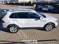 Volkswagen Tiguan Tiguan 2.0 TDI 150 CV SCR DSG Elegance Blanco - thumbnail 4