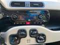 Fiat Panda Panda 1.3 MJT S&S 4x4 Pop Climbing Rouge - thumbnail 9