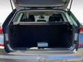 Skoda Kamiq 1.0 TSI 110 CV DSG Ambition ***TASSO ZERO*** Gris - thumbnail 14